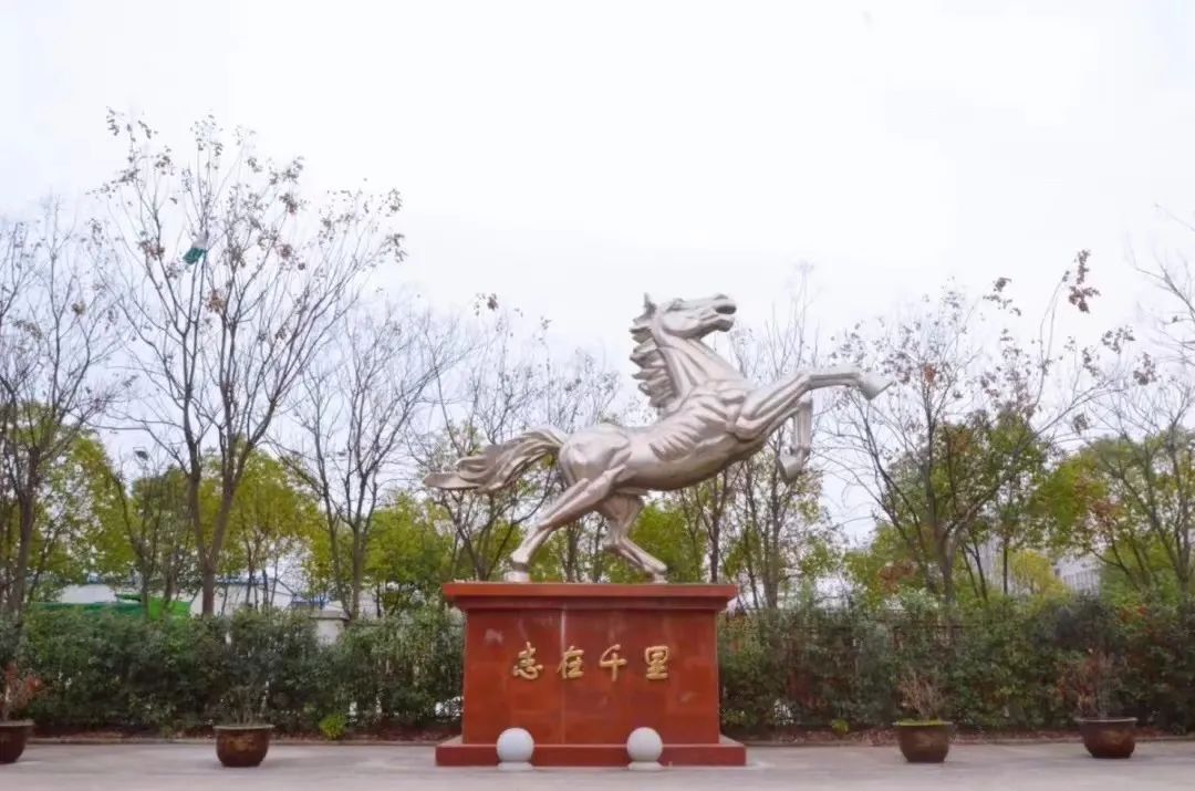 20220414145134932 letou乐投(LETOU)官方网站 - 值得信任的娱乐品牌