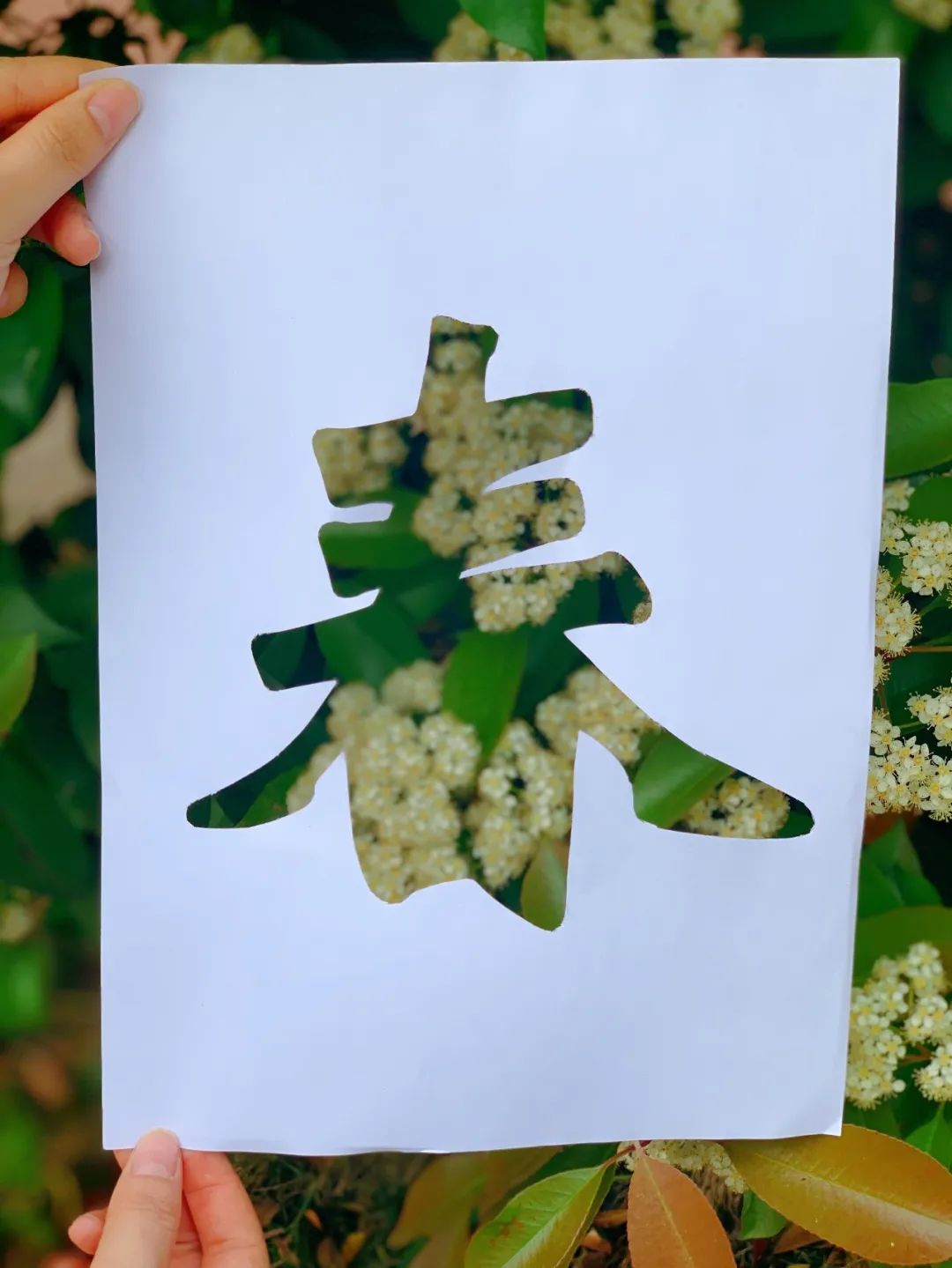 20220414145405248 letou乐投(LETOU)官方网站 - 值得信任的娱乐品牌