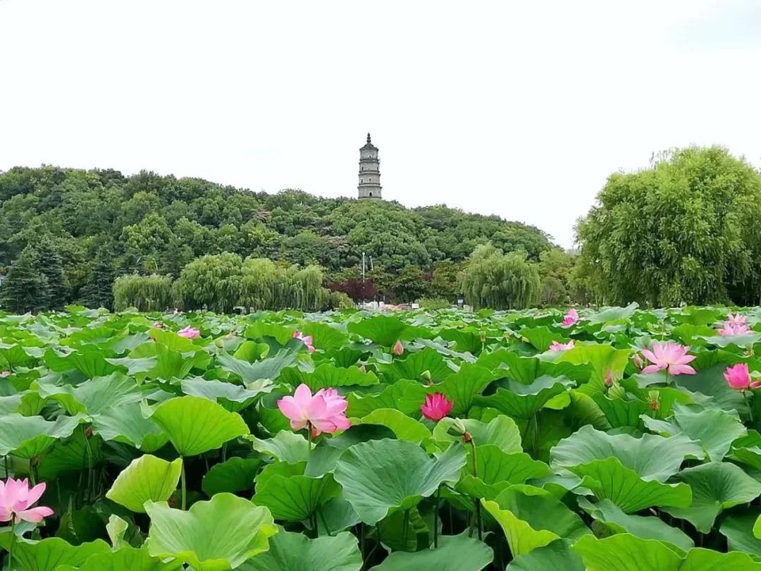 20230730102648571 letou乐投(LETOU)官方网站 - 值得信任的娱乐品牌